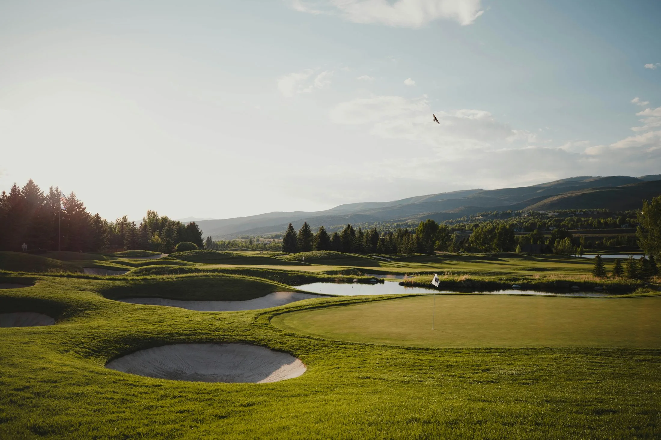 A sweeping fairway at sunset with bunkers and a bird in flight